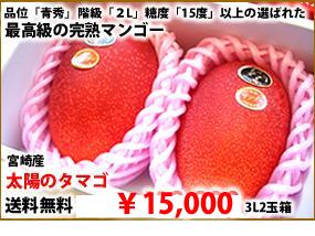 最高級の宮崎県産完熟マンゴー太陽のタマゴ3L2玉ギフト箱送料無料￥15,000