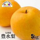 【送料無料】九州産 豊水 梨 5kg
