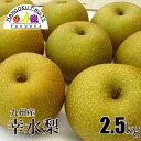 【送料無料】九州産 幸水 梨 2.5kg
