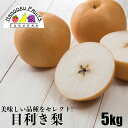 【送料無料】 九州産 目利き梨 5kg