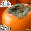 【送料無料】福岡産 富有柿 約5kg (16~20玉)