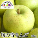 【送料無料】旬の青りんご10kg(36-40玉)