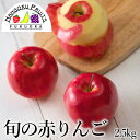 【送料無料】旬の赤りんご 2.5kg(8-10玉)