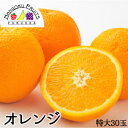 【送料無料】アメリカ産 オレンジ 特大 30玉