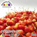 送料無料 アメリカンチェリー レーニア 800g箱アメリカ レーニアチェリー レイニアチェリー 超大玉 れいにあ れーにあ れいにあちぇりー れーにあちぇりー cherry rainier さくらんぼ サクランボ レイニア レイニア種 レーニア種