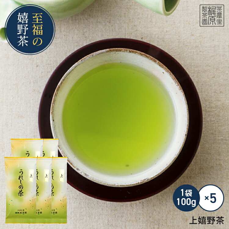 上嬉野茶（100g×5）【2025新茶】日本茶 緑茶 煎茶 すぐ飲める！ 送料無料 茶葉 お茶 ドリンク ポイント消化 送料無 食品 食品・フード ギフト 飲み物 詰め合わせ