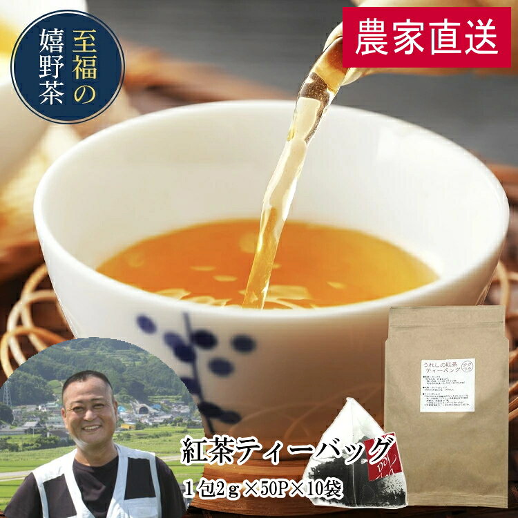 農家直送 業務用 3年熟成 嬉野紅茶ティーバッグ（2g×50包×10袋）お茶 日本茶 和紅茶 茶葉 国産紅茶 うれしの紅茶 九州 佐賀県産 業務用 お茶 ティーパック ドリンク ポイント消化 送料無 食品 食品・フード ギフト 飲み物 詰め合わせ