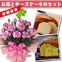 【送料無料】母の日プレンゼントにおすすめ【母の日ギフト】ピンクカーネーション4号鉢と選べるチーズケーキ