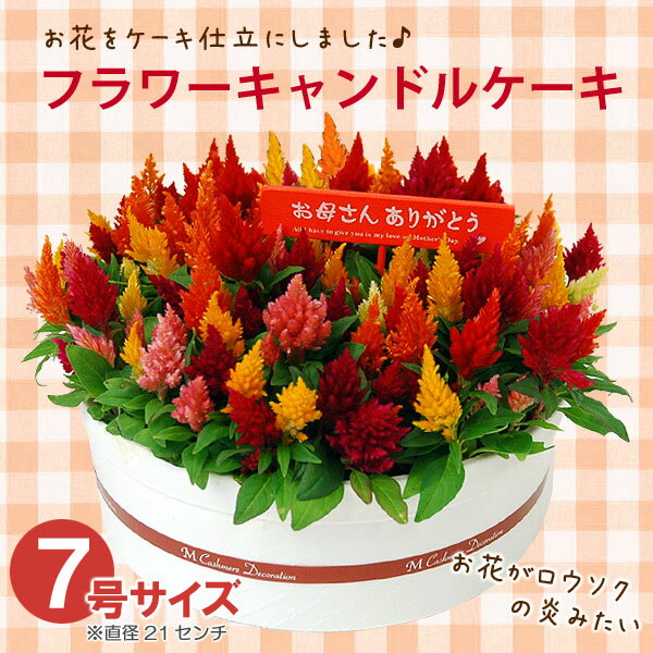 母の日プレゼント●フラワーキャンドルケーキ母の日　お花のプレゼント　今がお得！早割20%OFFセール中＆送料無料　フラワーギフト2013　お花をケーキ仕立てにしました。　