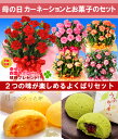 【送料無料】贈り物・プレゼントに♪限定販売!あの人気の名店スィーツ【a_2sp0420】【母の日ギフト】カーネーションと2つの味が楽しめるよくばりスイーツセット