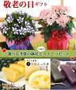 【敬老の日ギフト】選べる季節の鉢花(におい桜かリンドウ白寿)と人気店の選べるスイーツセット 【楽ギフ_包装】