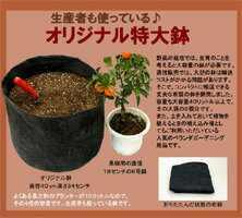【家庭菜園セット】土・鉢コミコミセット【布鉢、土1、土壌改良材1】