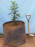 【不織布ポット JマスターK30】バラ売り1.2メートル程度の小型樹形や8号鉢植えの移植に（径30×28＝20L）