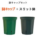 6号ロングスリット鉢 ★ 鉢キャップコガネガードセット