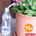 水やり楽だぞぅ 4本入り★ 10袋【送料無料】 自動潅水・給水