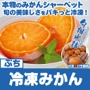 【送料無料】冷凍みかん・旬柑氷結・愛媛みかんぷちサイズ(3S...