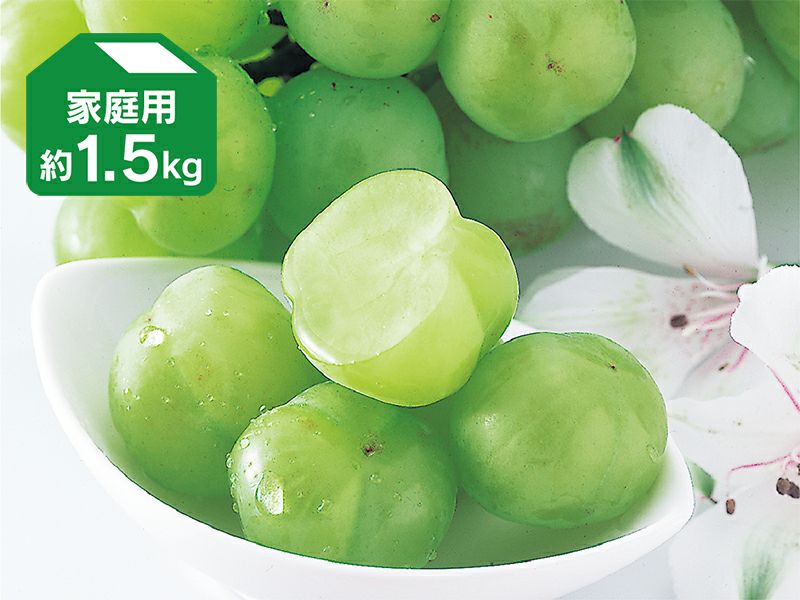 ＜家庭用＞「瀬戸ジャイアンツ」（<strong>桃太郎ぶどう</strong>）約1.5kg