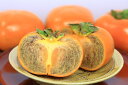 【送料無料】紀ノ川柿 贈答用4kg 11個〜15個 【柿/か...
