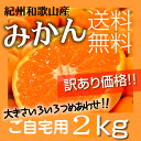 【送料無料】【現在、極早生みかん】数量限定! 紀州和歌山 訳...
