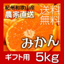 お歳暮ギフト【送料無料】和歌山 児玉農園...
