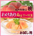 【予約販売】【送料無料】【指定日不可】 紀州和歌山 児玉農園の桃 訳あり家庭用 約4kg 11?16玉