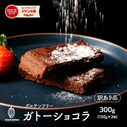 【切れ端】超濃厚ガトーショコラ 400g(200g×2袋) 訳あり プチギフト 小分け ケーキ ねっとり濃厚 高級チョコ使用 小麦不使用 グルテンフリー 高級クーベルチュール お取り寄せ グルメ