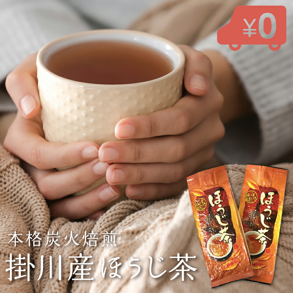 ほうじ茶 100g×2袋入 茶葉 お茶 日本茶 国産 ほうじ茶 ラテ 1000円ポッキリ 本格炭火焙煎 静岡県産 深むし茶 深蒸し茶 緑茶 日本茶 送料無料 お茶 お徳用 お得用 冷茶 業務用 まかない 大容量 焙じ茶 オフィス 買い回り