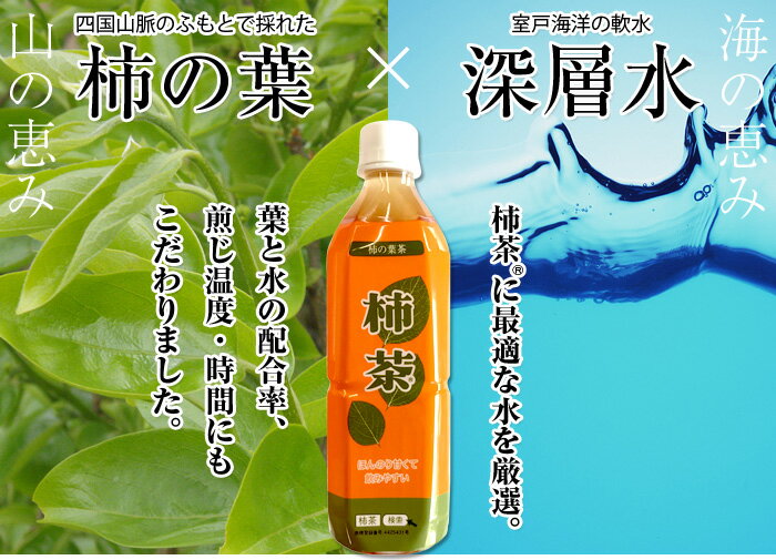 柿茶®ペットボトル500ml×24本セット●レビューを書いてくれる方ティーカップで飲める柿茶2袋おまけ付き! 【RCPmara1207】