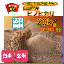 送料無料 広島県産ヒノヒカリ 20kg 5kg×4無地袋 特...