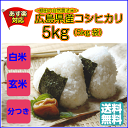 送料無料 新米 30年産 広島県産コシヒカリ 5kg 無地袋30年産1等米