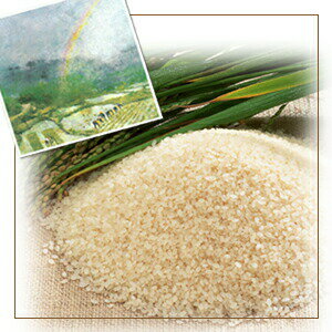 【米　お米】自然農法で作った米　5キロ（5kg）【送料無料】玄米／白米選べます。【あす楽対応_関東】【楽ギフ_包装】【送料無料】自然農法で作った米　5キロ（5kg）自然農法棚田米ミルキークイーン他、安心をお求め下さい！【smtb-kd】【FS_708-8】