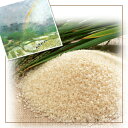 「自然農法で作った米」【お試し300グラム 送料無料・税込み】うたたねの里生まれの楽天ランキングで1位を頂いたお米隠れた人気米です♪　白米／玄米をお選び下さい自然農法で無農薬を目指して栽培されたお米