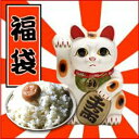 29年産1等米 おめでたいお米福袋 送料無料 お米の福袋ごは...