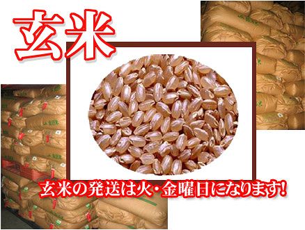 【米　お米】【23年1等米】広島県産ひとめぼれ　30キロ（玄米）【送料無料】【農産物検査済み1等玄米】