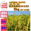 送料無料 新米入荷 30年産1等新米 鹿児島県産コ