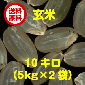 【ポイント10倍】【送料無料】島根県産コシヒカリ 10kg玄米(5kg×2袋）青袋【28年…...:kakimoto:10002102