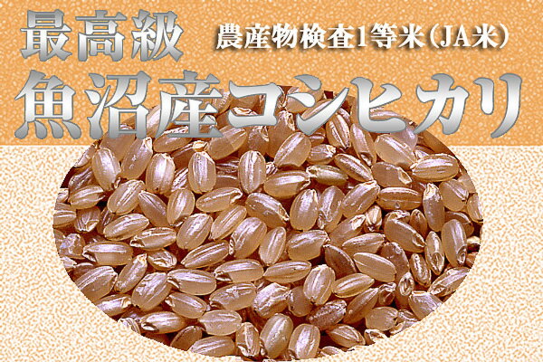 【米　お米】【23年1等米】魚沼産コシヒカリ　玄米／一合（150g）【送料無料】