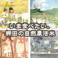 【米　お米】【23年1等米】ミルキークイーン他　いま食べたいお米 10キロkg（5キロkg×2袋）【送料無料】