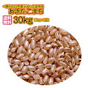 送料無料 広島県産あきたこまち 30kg 玄米 5kg×6無...
