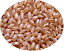 ミルキークイーン 5kg 送料無料 特別栽培米 金色袋広島県産 令和3年産1等米 新米