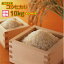 鹿児島県産コシヒカリ 10kg 送料無料 5kg×2 赤袋令和3年産1等米 新米
