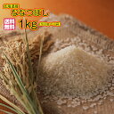 Á÷ÎÁ̵ÎÁ Ë̳¤Æ»»º ¤Ê¤Ê¤Ä¤Ü¤· 1kg 500g¡ß2ÂÞ ¤ª»î¤·30ǯ»º1ÅùÊÆ
