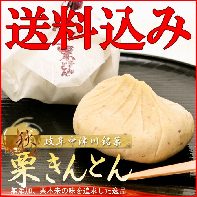 中津川【栗きんとん20個入】お茶菓子、大切な方への贈り物に、帰省のお土産にも最適 【送料込み】【楽ギ...:kakinoki:10000176