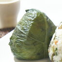 ギフト 佃煮 みどり高菜(シート)10 佃煮(つくだに)しぐれ煮ギフト専門店大正3年創業老舗【カクイチ横丁】 seeds ltd. 広島 通販 seeds&dining