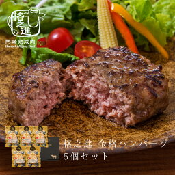 <strong>ハンバーグ</strong> 母の日 <strong>ギフト</strong> 格之進 金格 5個 セット 無添加 送料無料 冷凍 国産牛 白金豚