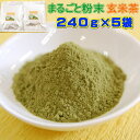お茶 緑茶 粉末玄米緑茶 鹿児島産 1200g(240g×5袋) 業務用 抹茶入り 付属スプーンで約6000杯分 玄米茶 送料無料 お茶のカクト