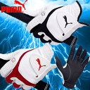 PUMA プーマ 3D シンセティック ゴルフグローブ 867578