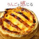 ぎゅぎゅっとリンゴのアップルパイ 5号サイズ フジりんごを1.5個詰め込んだボリュームたっぷりアップルパイ! ギフト/リンゴ/林檎/シナモン/パイ/