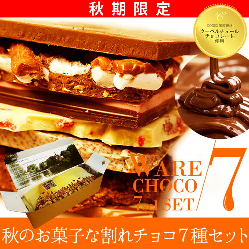 【10月6日より順次出荷】秋のお菓子な割れチョコ7種セット【ハロウィンやパーティーにも♪】