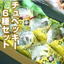 チュベッキーオールスターズ(全6種600g)東京・自由が丘